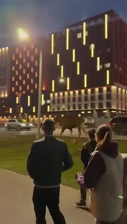    ,     