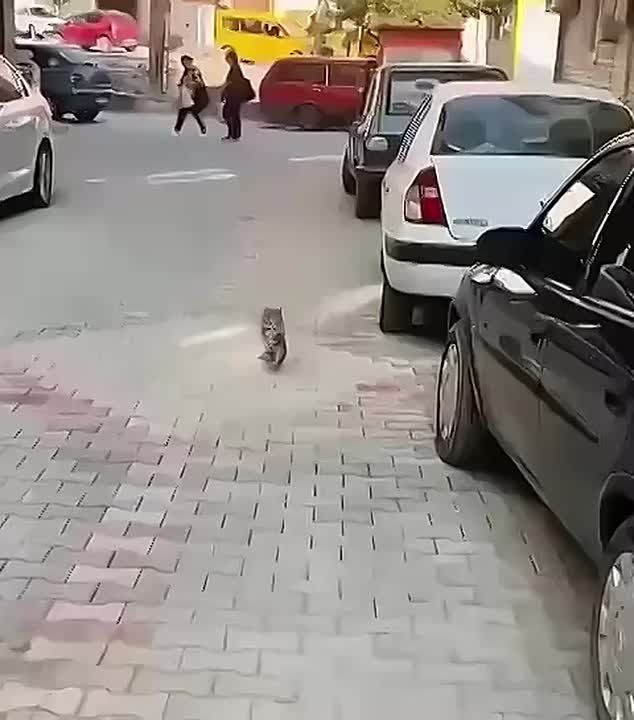  .           ,   ,       ,   