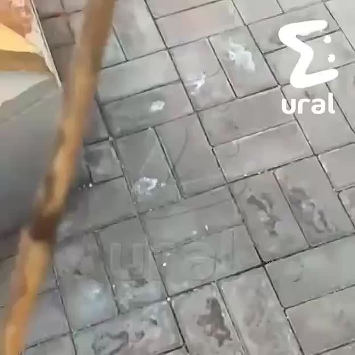          -