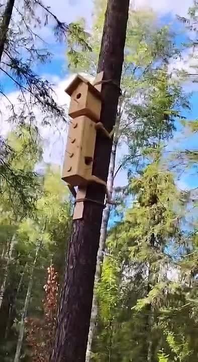   :         