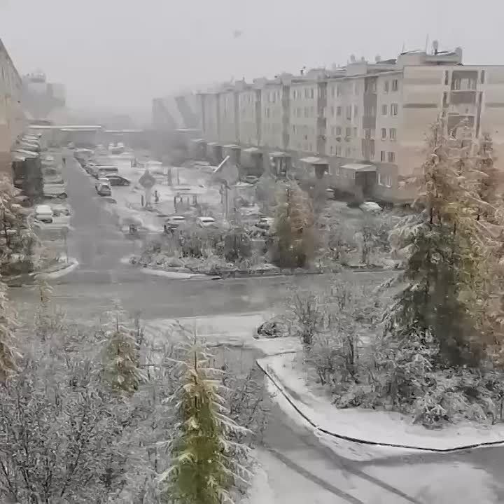   ,         20 ,   