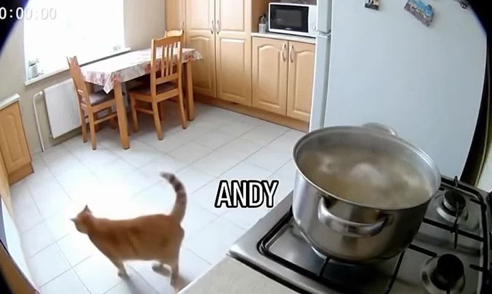  !. 