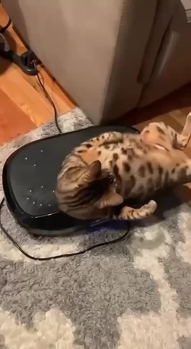  .      &quot; &quot;        ,      ! 