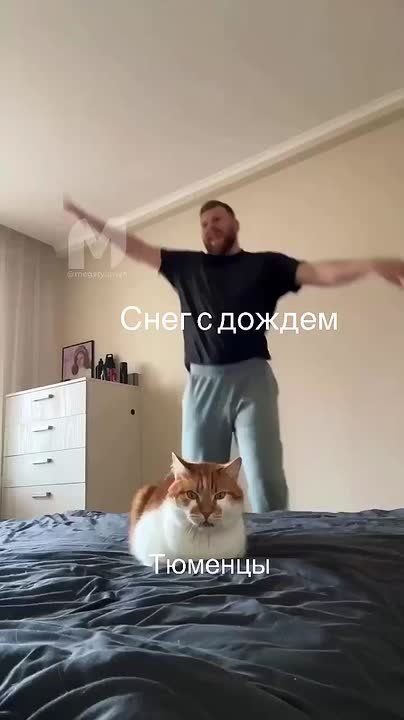 15   ,    