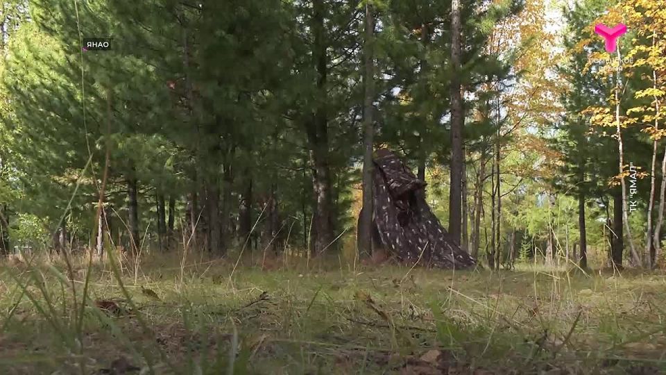         ,    ,    