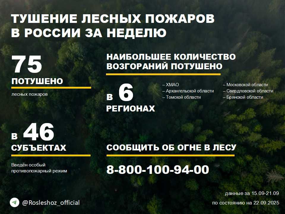   ,   ,     75    32  