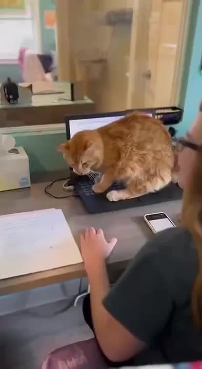    ,  !