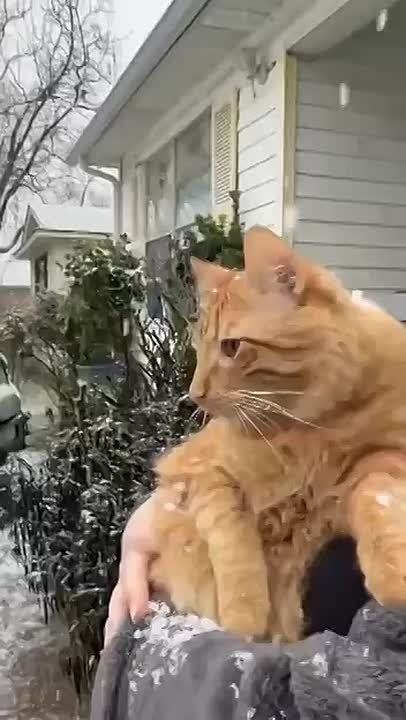      :    ,   