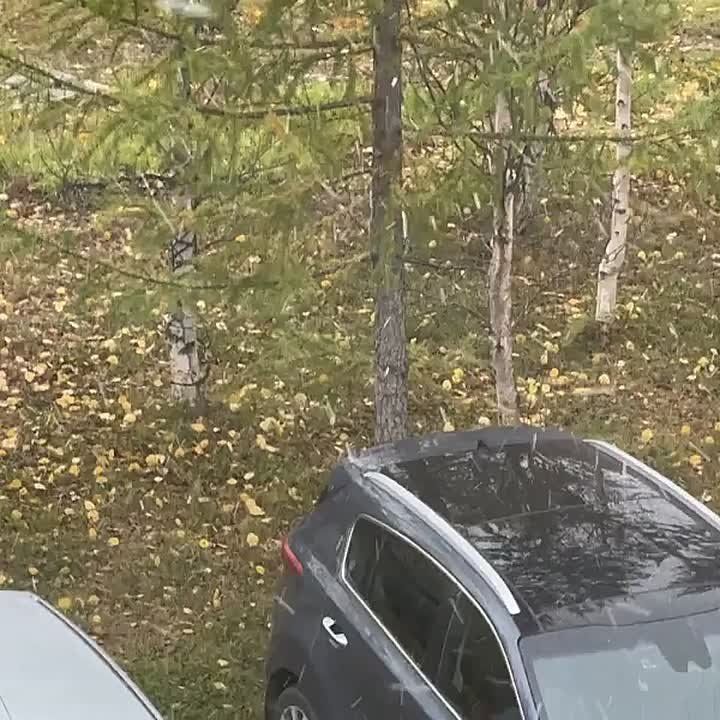        -   !