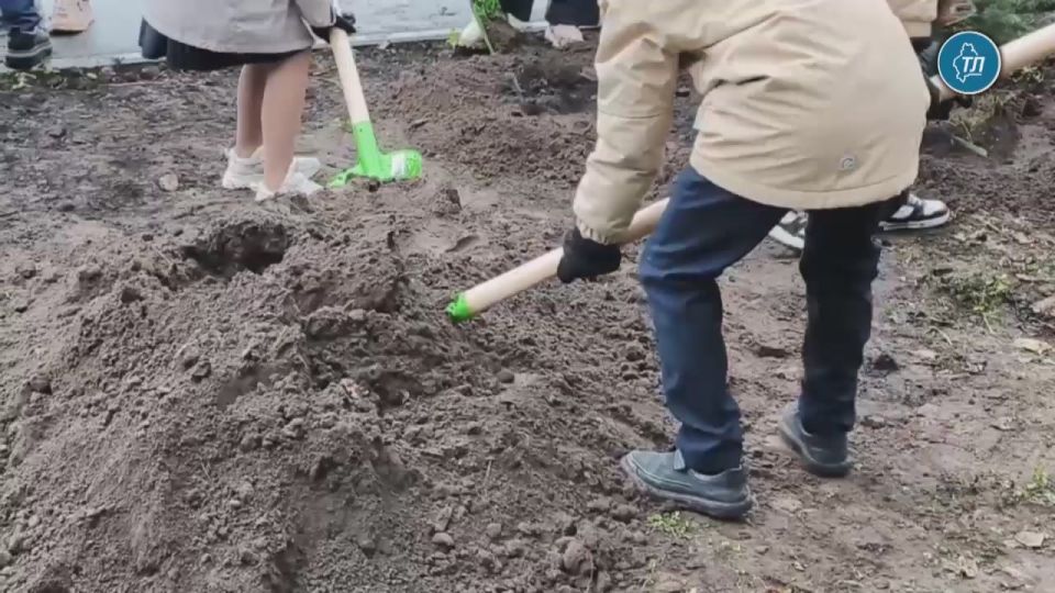  , ,          