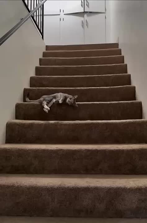     , , :