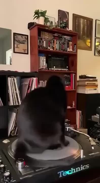   ,  ?   , - 