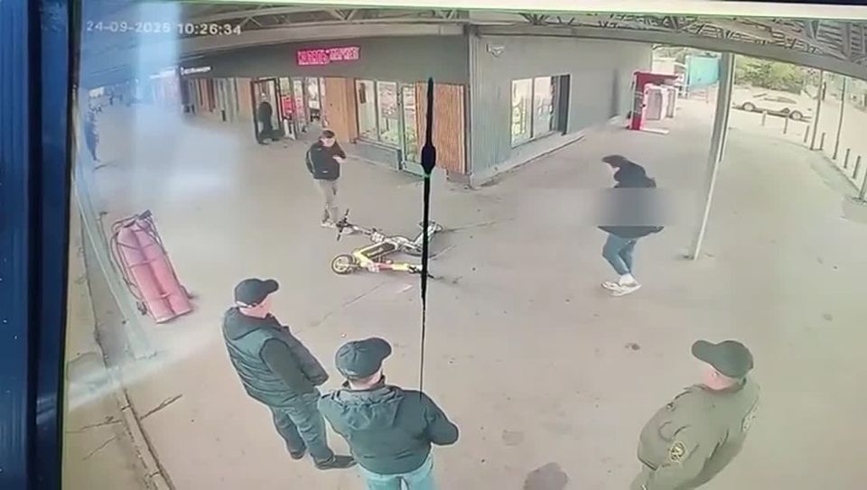  -   ,   ,      -      ,      