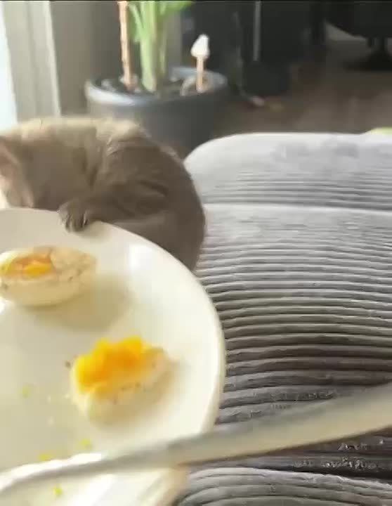  !. 