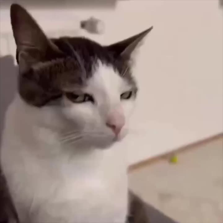   -  ,       