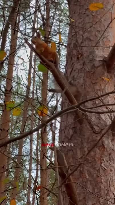          !