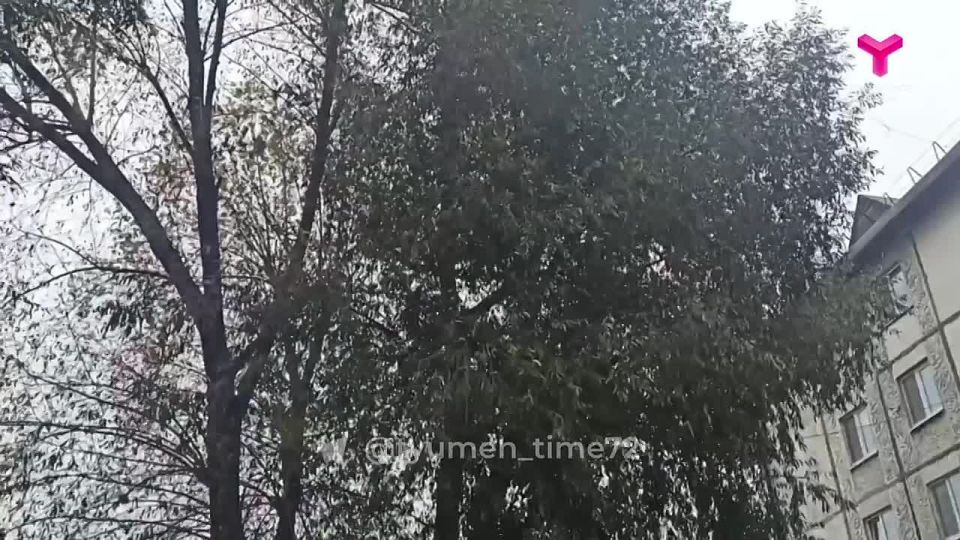  ,  .     !           