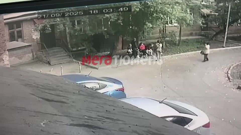  ,       ,  -      
