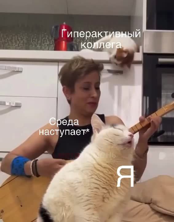   !  