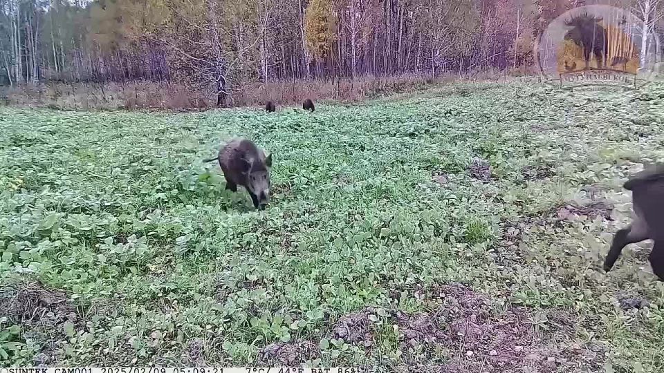 ?   