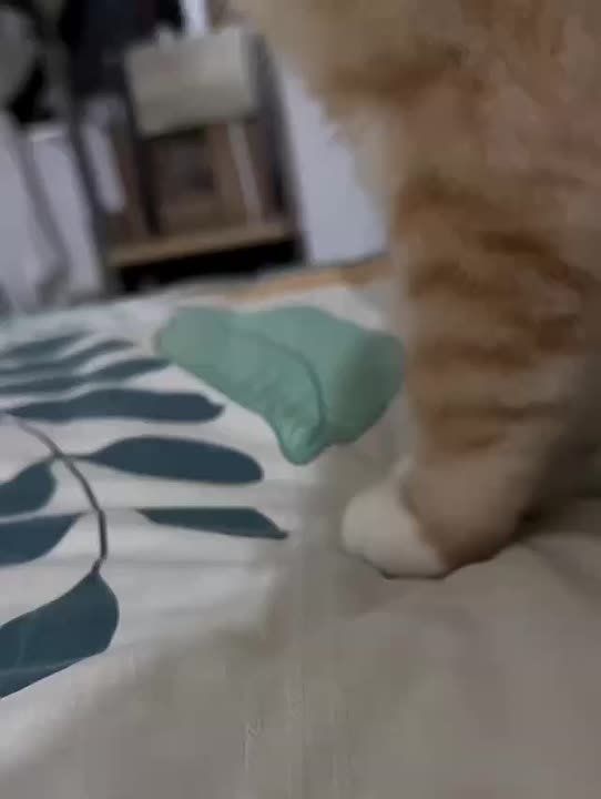   . 