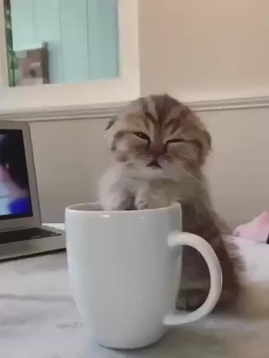  !. ,   ) 