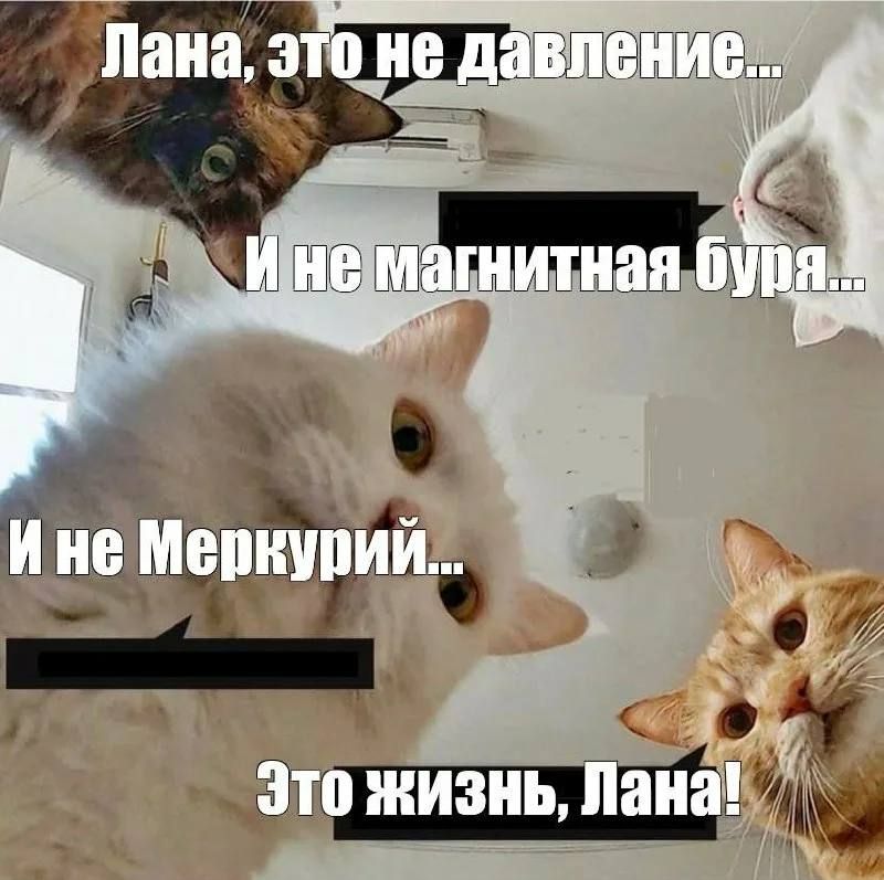 ,         , ,     
