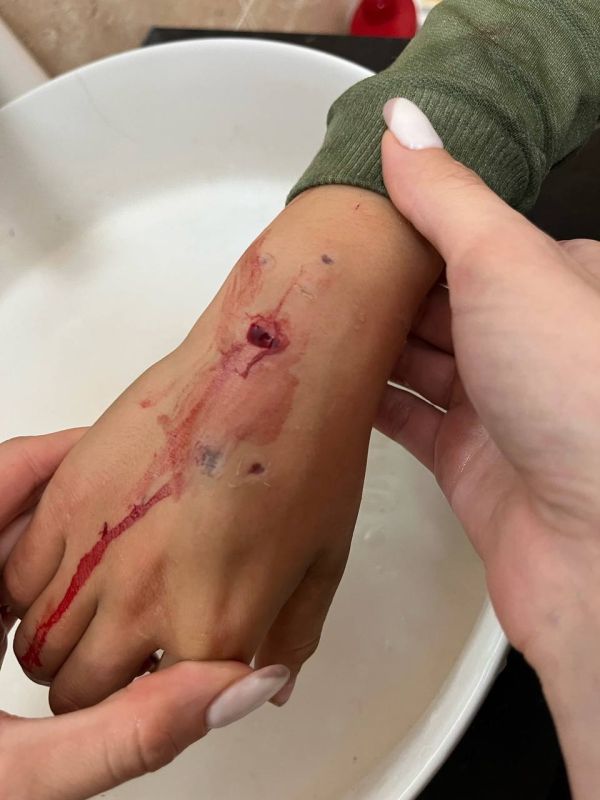    3   ,       