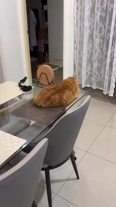 :  . 