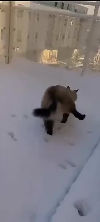       =  