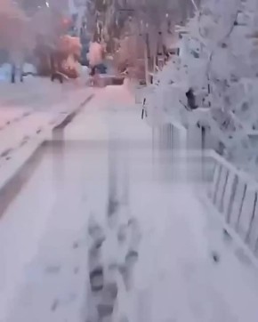   ?         