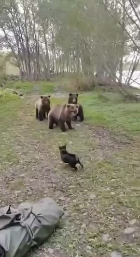   !       