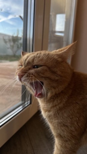 ! ?