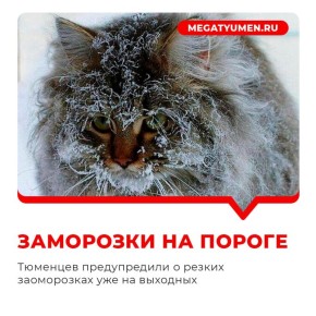   -       -6 !