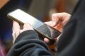 Более 6,5 млрд рублей выплатили по больничным листам 184 тыс
