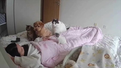 Они ждут завтрак!. Доброе утро МегаТюмень