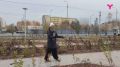 Бульвар Петра Ершова в Тюмени