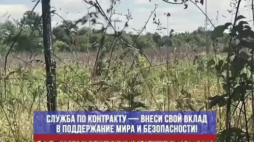 В Тюменской области для участников СВО действуют новые выплаты и льготы
