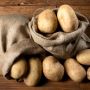 Картофель 'Богатырь': урожайный сорт, который станет находкой для огородников