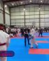 Массовая драка произошла на соревнованиях ММА среди зрителей и спортсменов в Сургуте