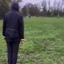 Выгул невидимых собак набирает популярность в России