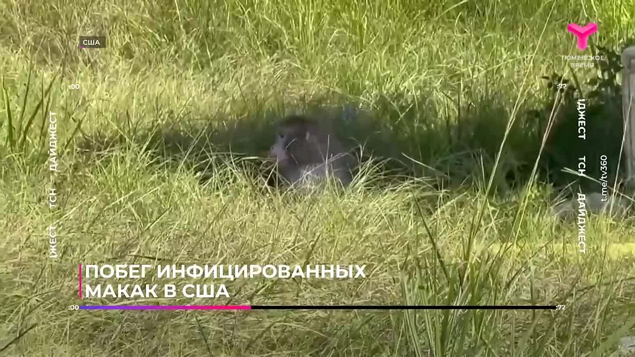 Обзор событий в стране и мире в нашей подборке