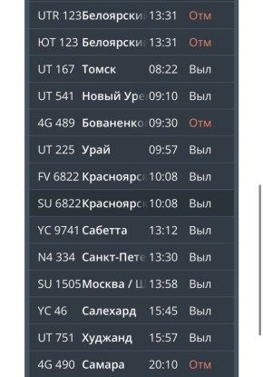Тюменцы не смогли вылететь из Рощино в Белоярский, Бованенково и Самару