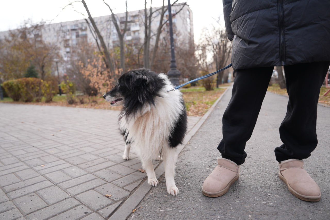 Городские туалеты доступны и удобны Городские туалеты доступны и удобны