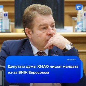 Сокрытие ВНЖ Евросоюза стоило депутату мандата