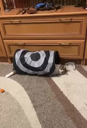 Спокойной ночи. МегаТюмень