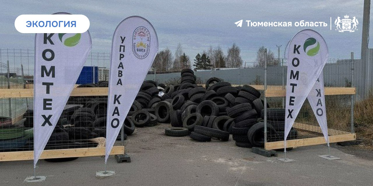 В Тюмени собрано более 40 тонн автомобильных шин на утилизацию