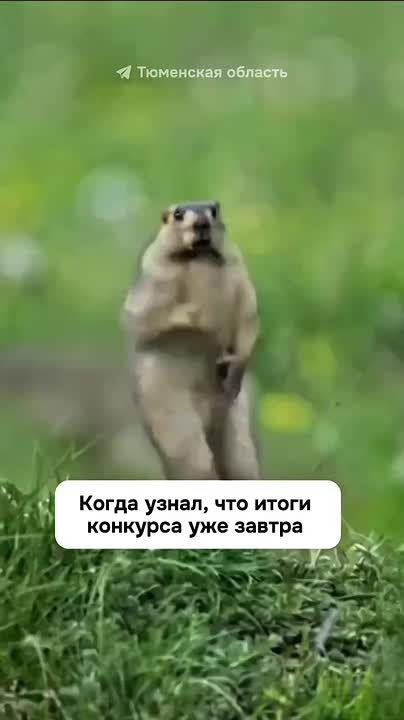 Итоги конкурса уже завтра!