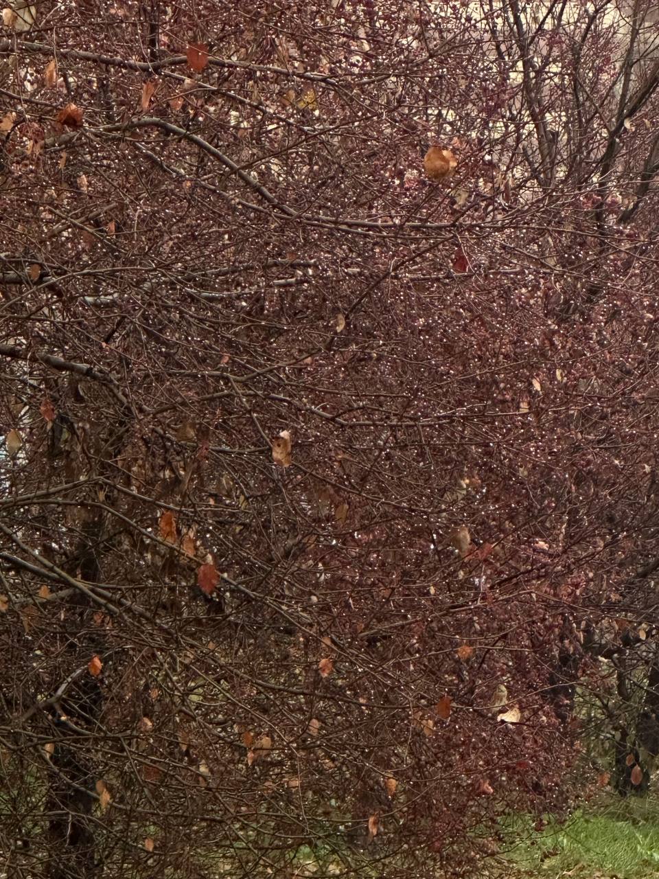 Этюды в серых тонах пятницы Этюды в серых тонах пятницы