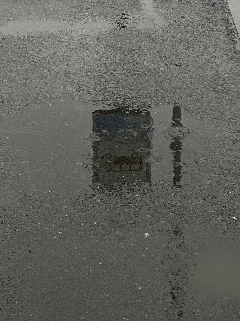 Этюды в серых тонах пятницы Этюды в серых тонах пятницы